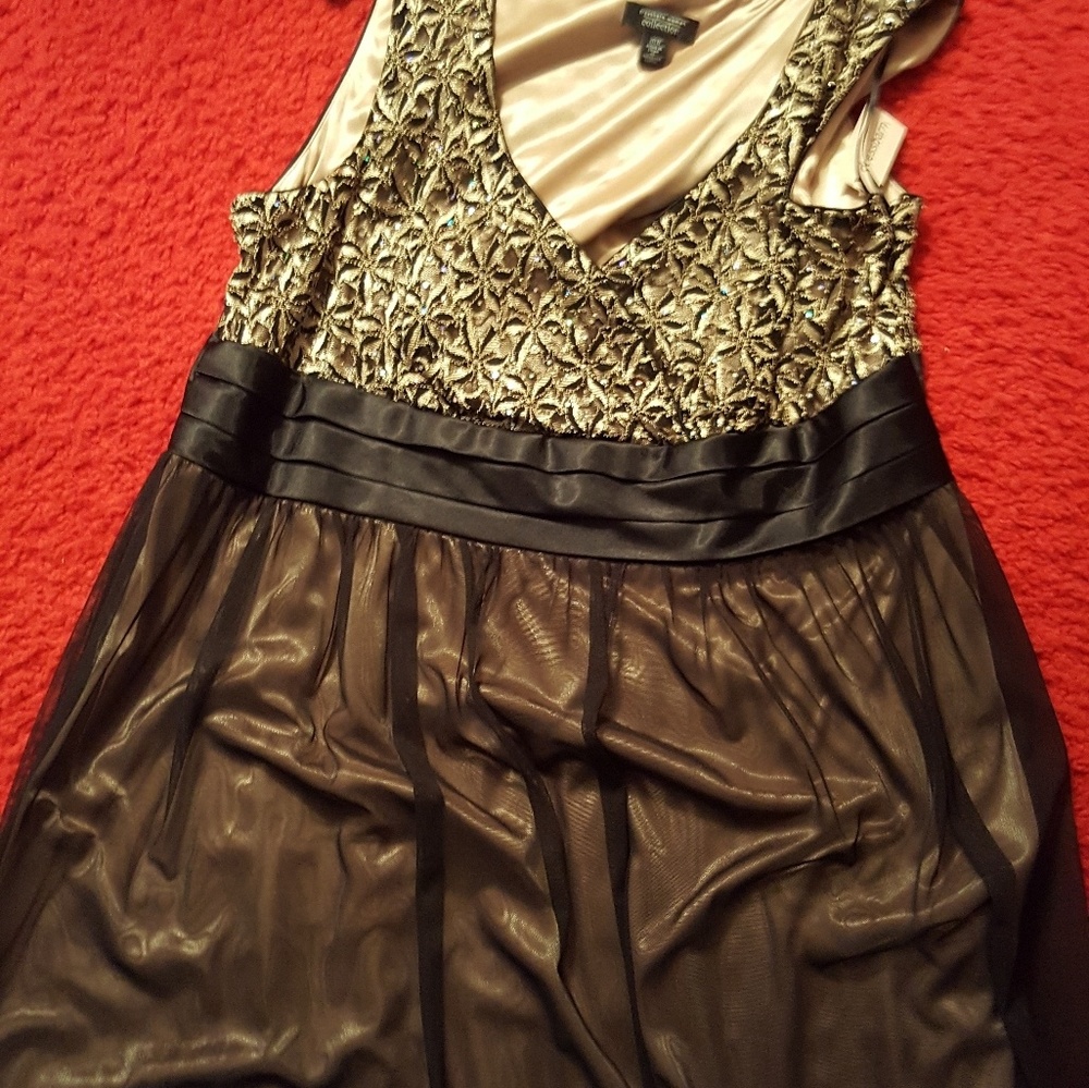 Dress Barn evening dress